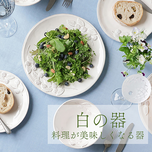 Madu 白の器～料理が美味しくなる器～